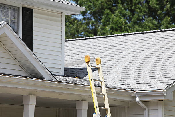 Best Demolition Debris Removal  in Somerville, TN